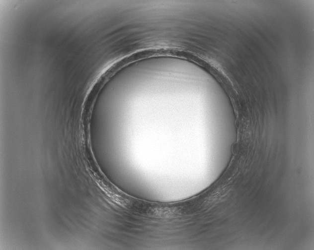 X0000060750927200512011443