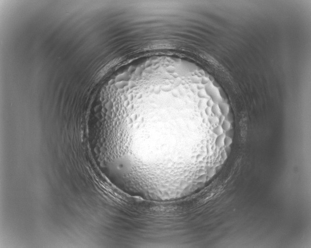 X0000060750929200512011443