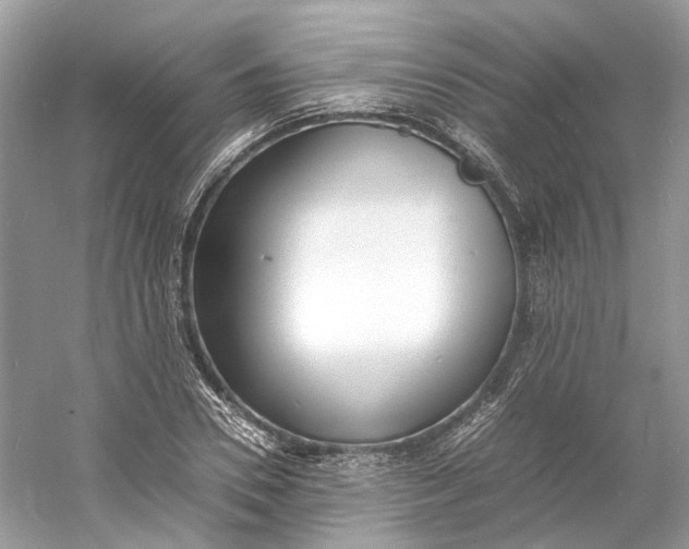 X0000060750930200512011443