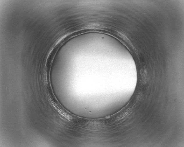 X0000060750931200512011443