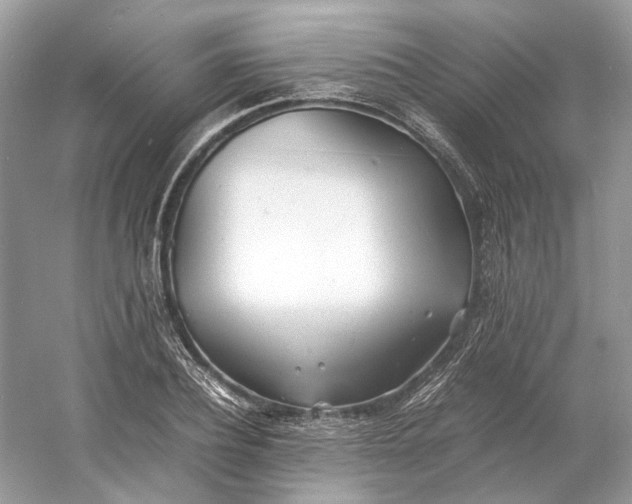 X0000060750932200512011443