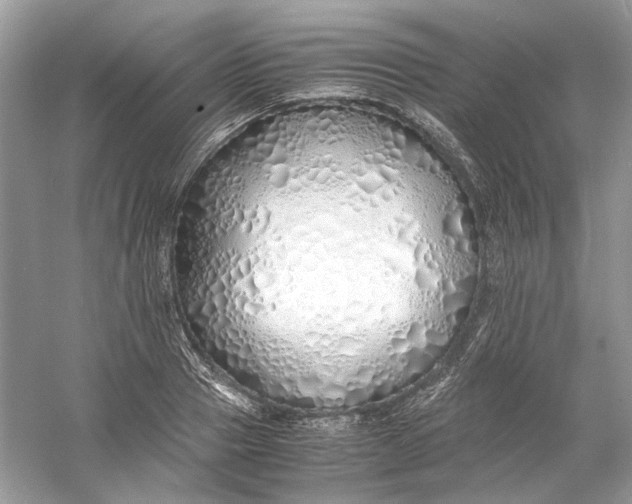 X0000060750937200512011443