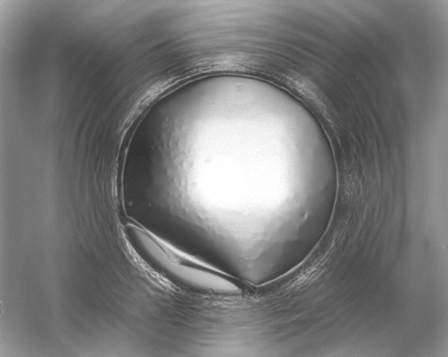 X0000060750938200512011443