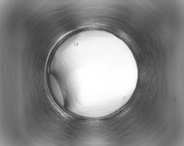 X0000060750940200512011443
