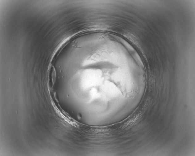X0000060750941200512011443