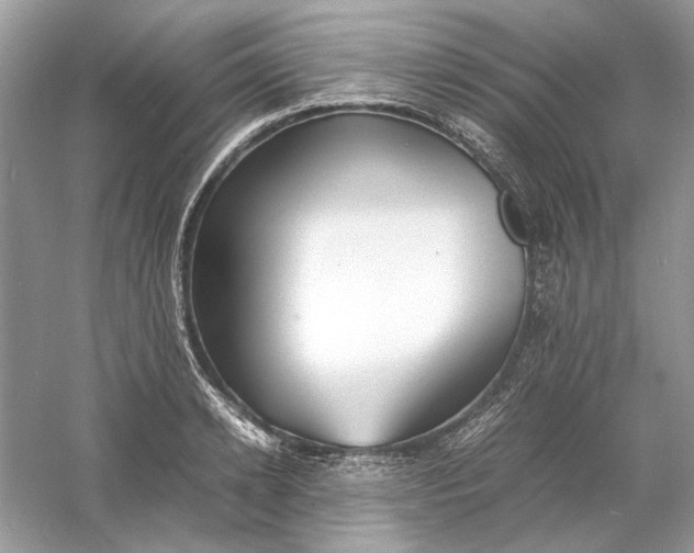 X0000060750942200512011443
