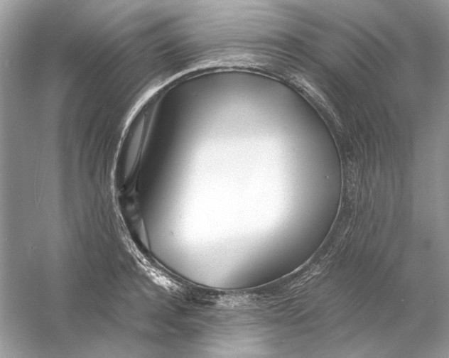X0000060750944200512011443