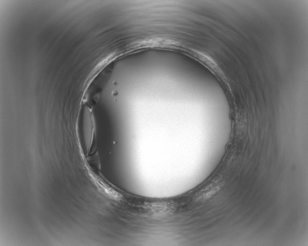 X0000060750946200512011443