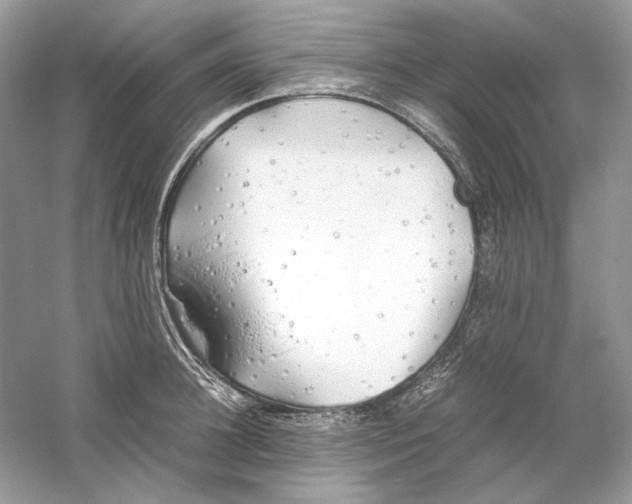 X0000060750948200512011443