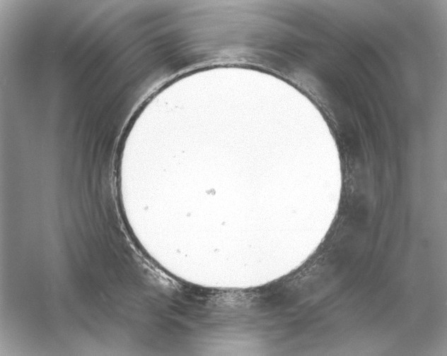 X0000060750950200512011443
