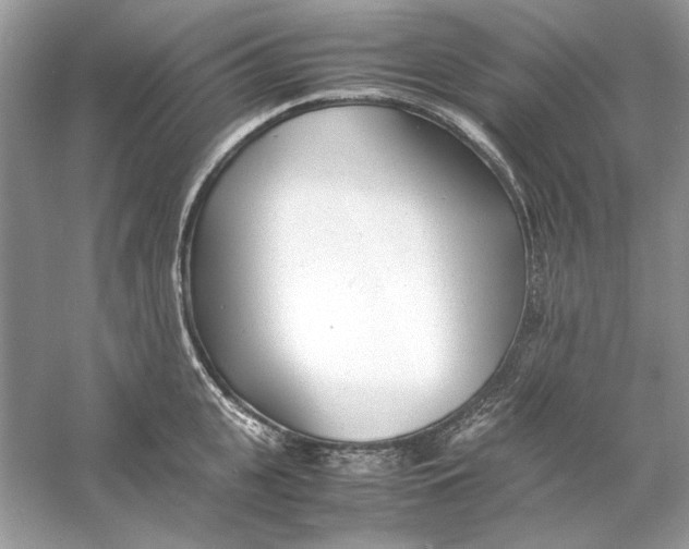 X0000060750951200512011443