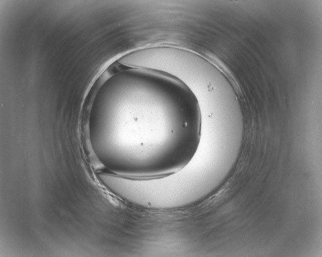X0000060750956200512011443