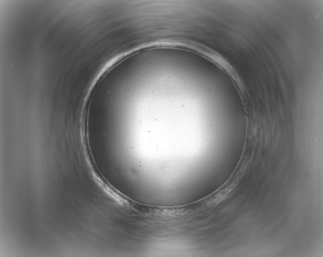 X0000060750958200512011443