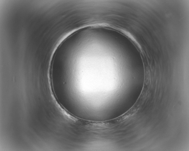 X0000060750959200512011443