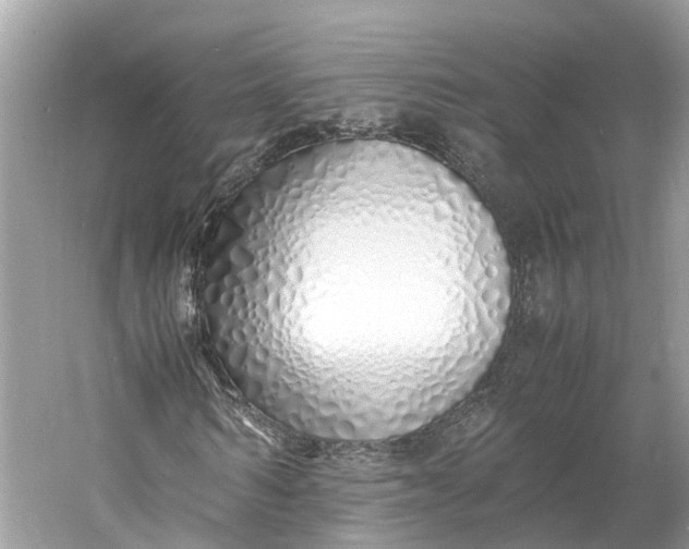X0000060750962200512011442