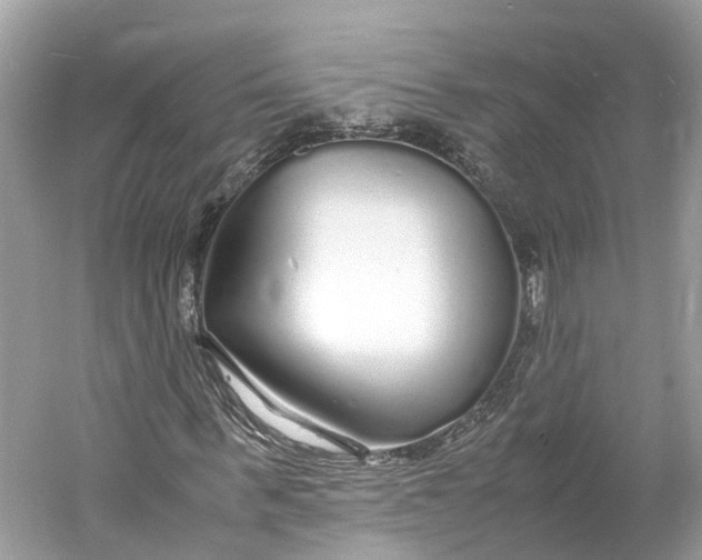 X0000060750963200512011442