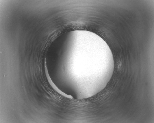 X0000060750964200512011442