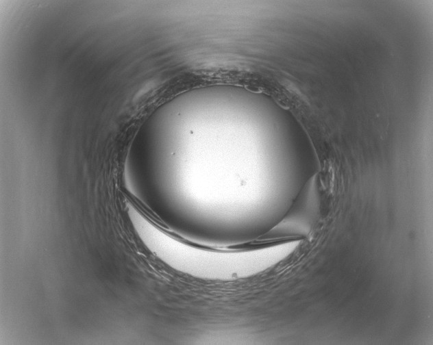 X0000060750965200512011442