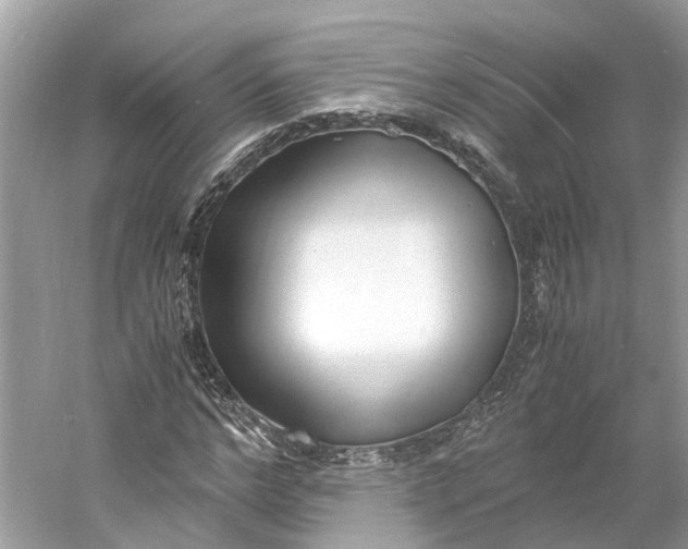 X0000060750968200512011442