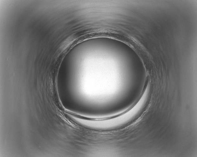 X0000060750969200512011442