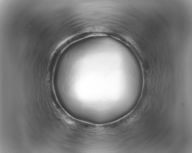 X0000060750971200512011442