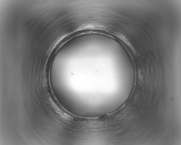 X0000060750972200512011442