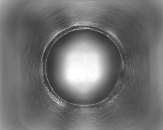 X0000060750976200512011442