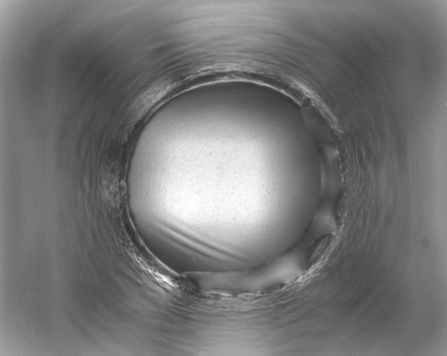 X0000060750977200512011442