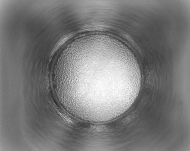 X0000060750978200512011442