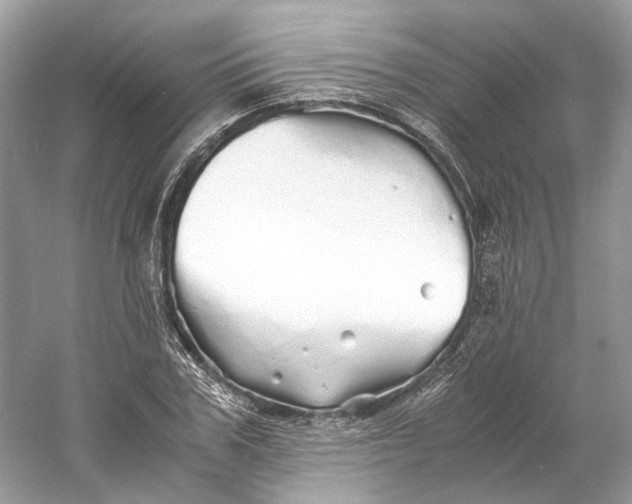 X0000060750979200512011442