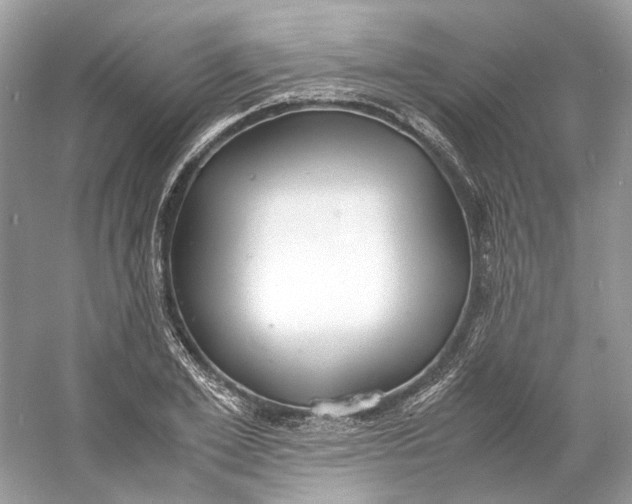 X0000060750981200512011442