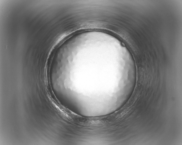 X0000060750982200512011442