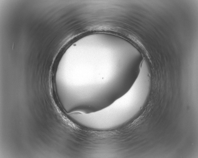 X0000060750984200512011442