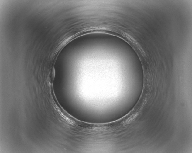 X0000060750985200512011442
