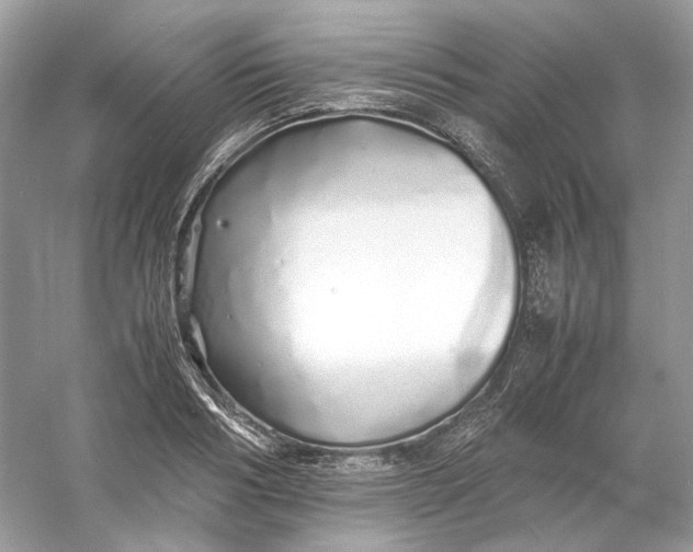 X0000060750986200512011442
