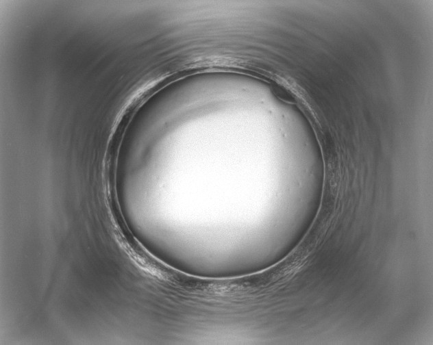 X0000060750987200512011442