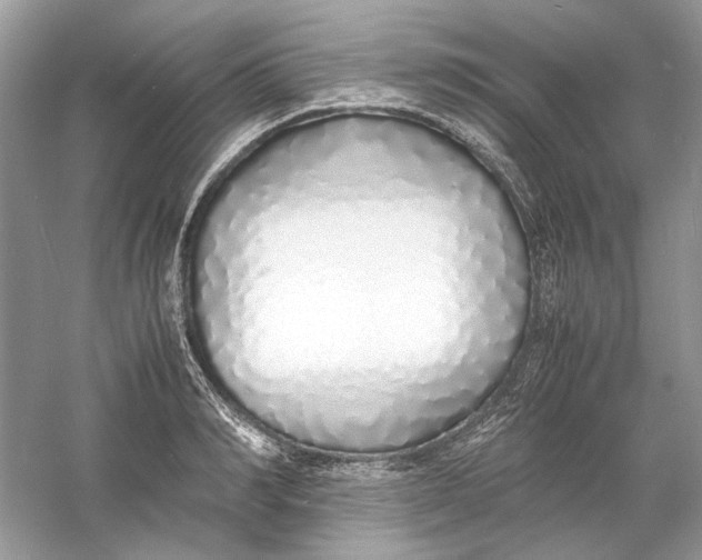 X0000060750990200512011442