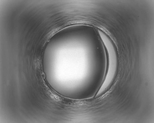 X0000060750993200512011442