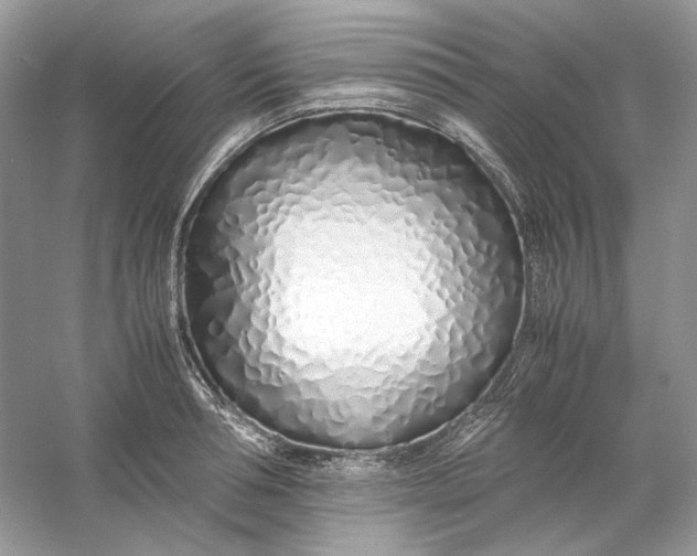 X0000060750994200512011442