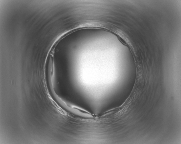 X0000060750996200512011442