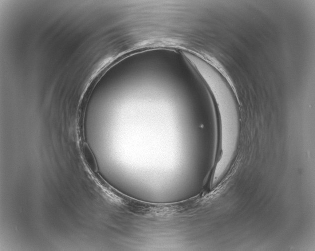 X0000060750997200512011442