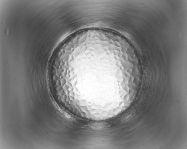 X0000060750998200512011442