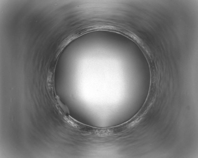 X0000060751001200512011442