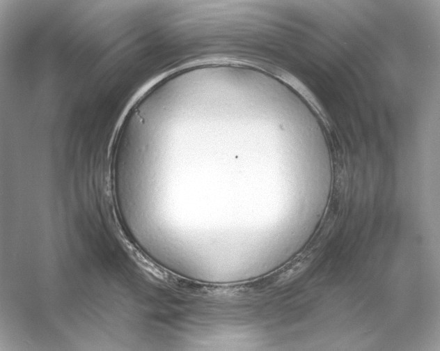 X0000060751004200512011442