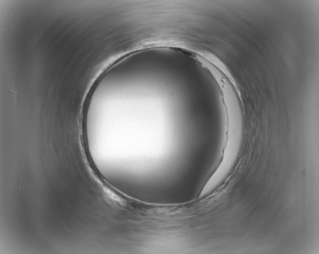 X0000060751005200512011442