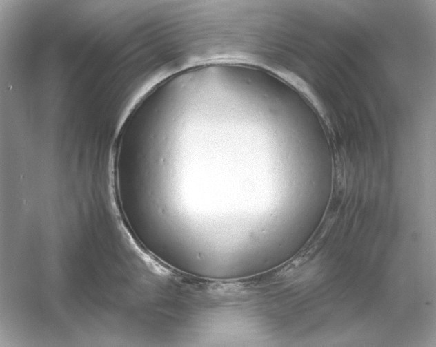 X0000060751006200512011442