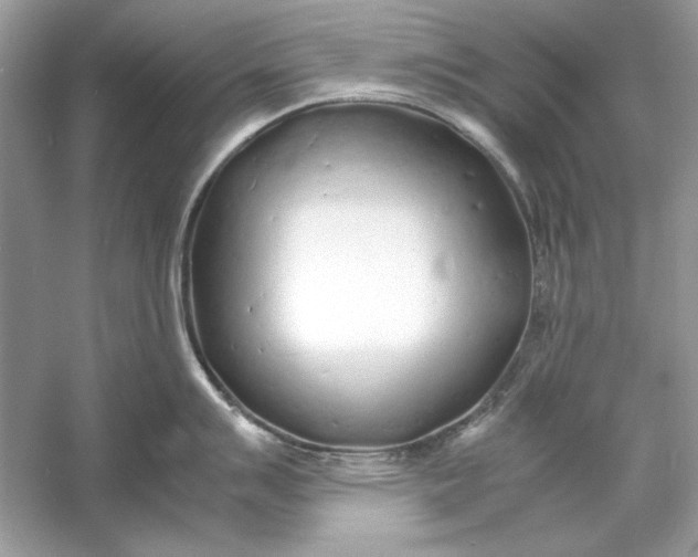 X0000060751007200512011442