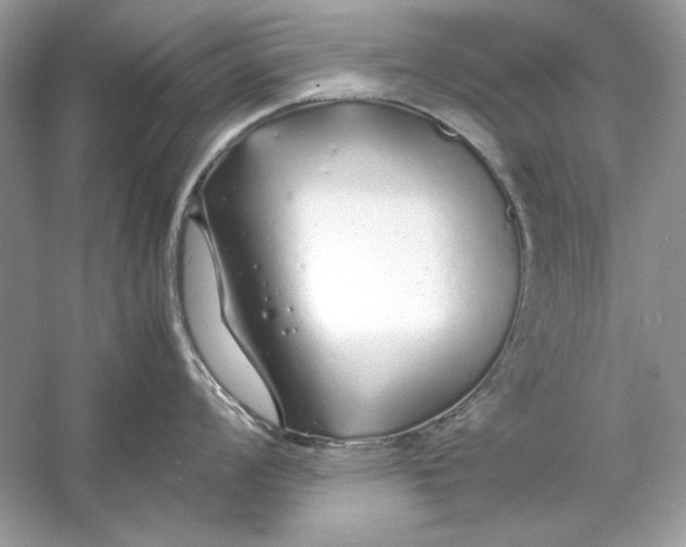 X0000060751008200512011442