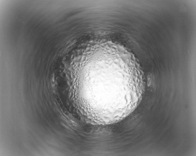 X0000060751011200512011441
