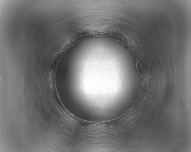X0000060751012200512011441